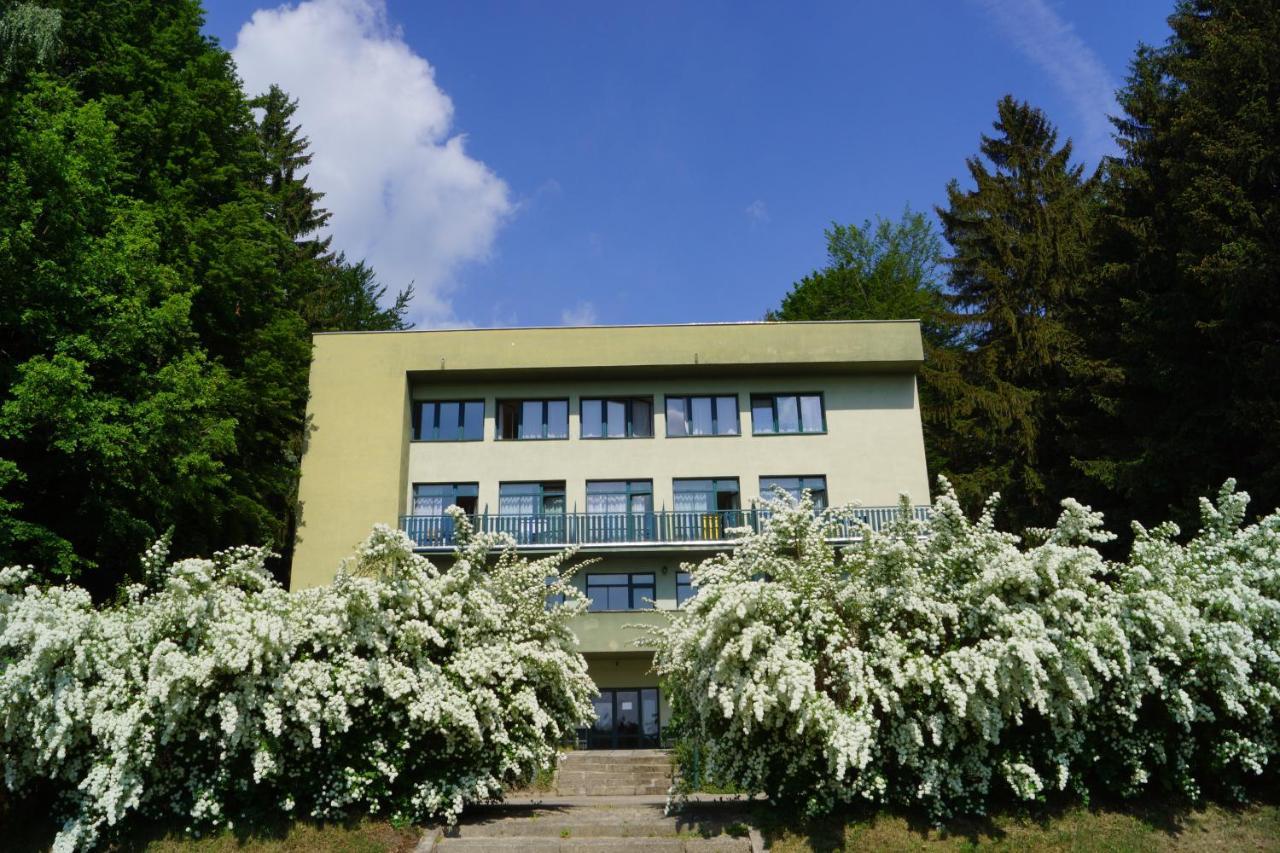 Hotel Chytrov Volfirov エクステリア 写真